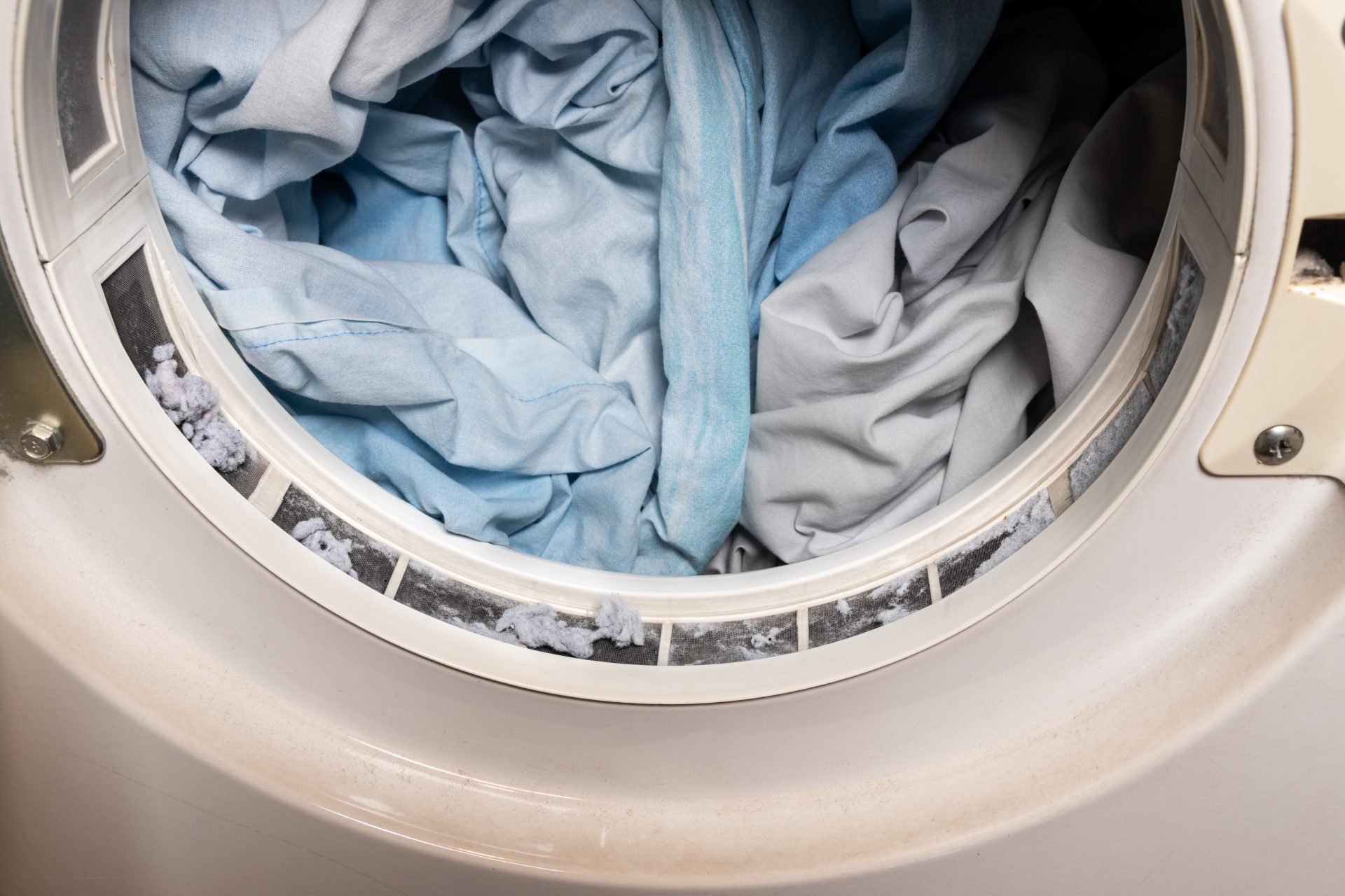 Si no quieres que tu ropa este con bolitas utiliza nuestro filtro atrapa  pelusa para lavadora a solo $1. ⏺ Promoción aplica…